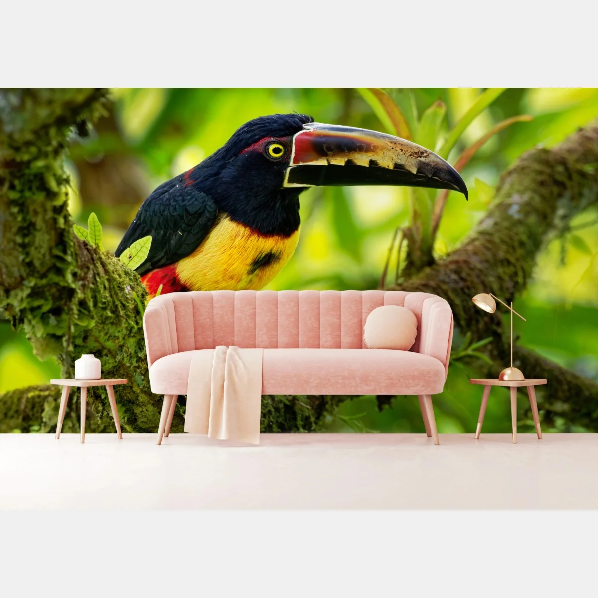 Fototapeta żywy tukan aracari w tropikalnej dżungli – Wallissimo® Fototapeta żywy tukan aracari w tropikalnej dżungli – Wallissimo®