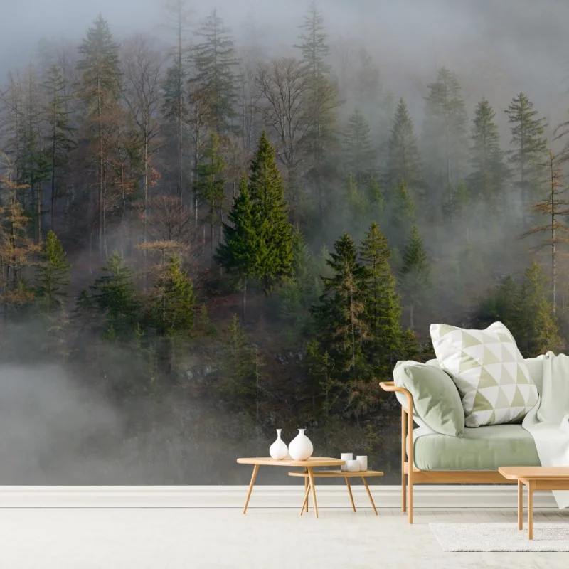 Fototapeta mglisty górski las – Wallissimo® Fototapeta mglisty górski las – Wallissimo®