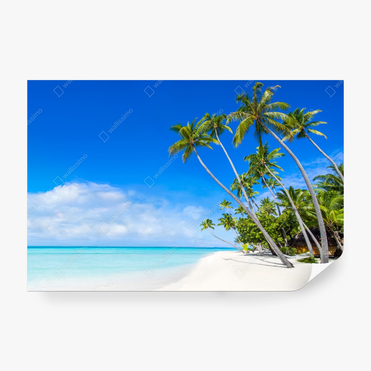 Fototapeta tropikalna plaża z palmami – Wallissimo® Fototapeta tropikalna plaża z palmami – Wallissimo®