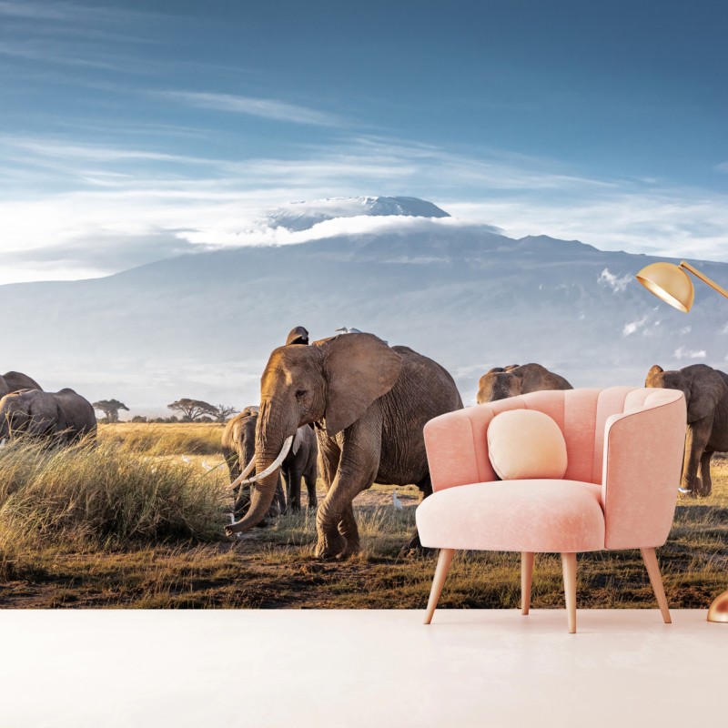 Fototapeta stado słoni przed Kilimandżaro – Wallissimo® Fototapeta stado słoni przed Kilimandżaro – Wallissimo®
