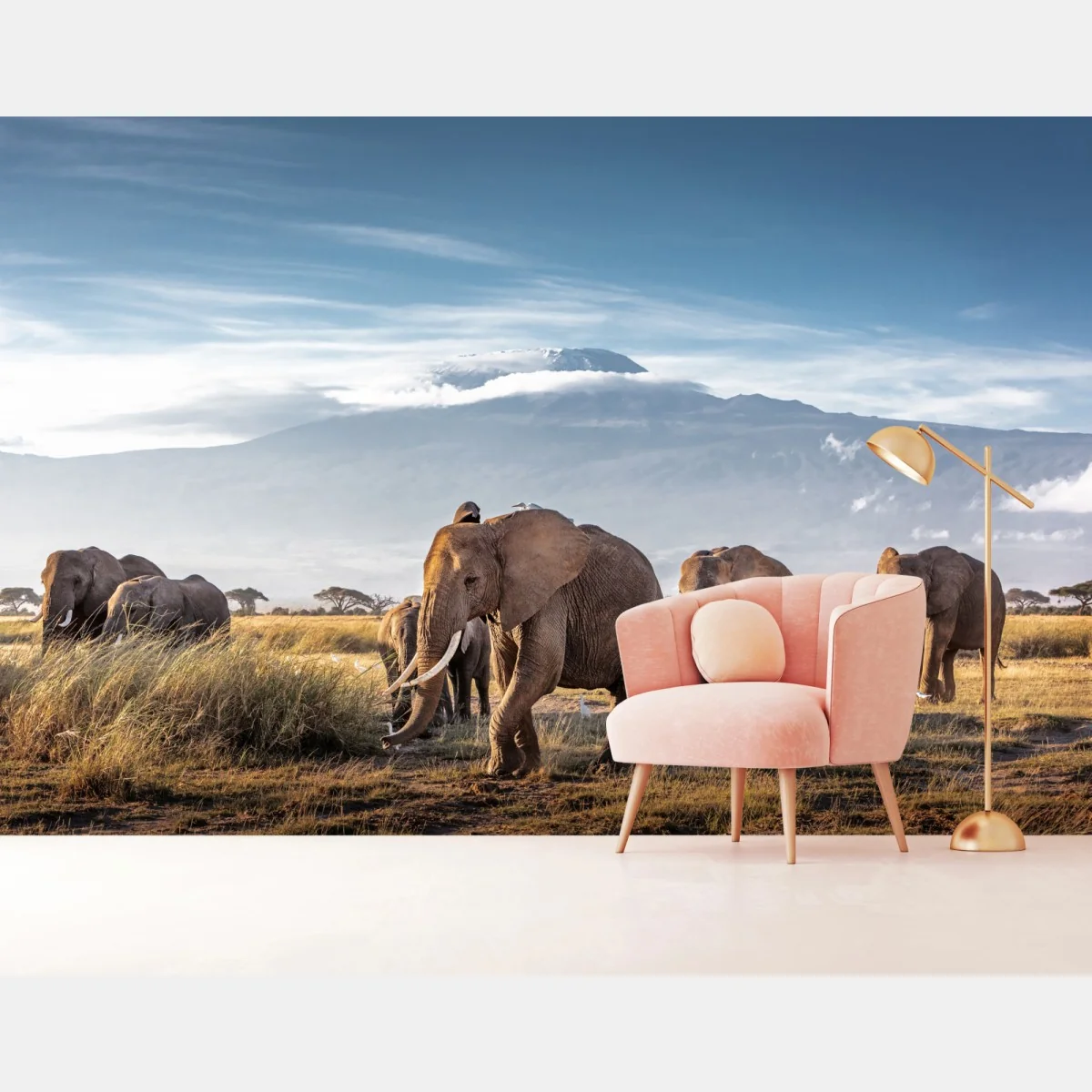 Fototapeta stado słoni przed Kilimandżaro – Wallissimo® Fototapeta stado słoni przed Kilimandżaro – Wallissimo®
