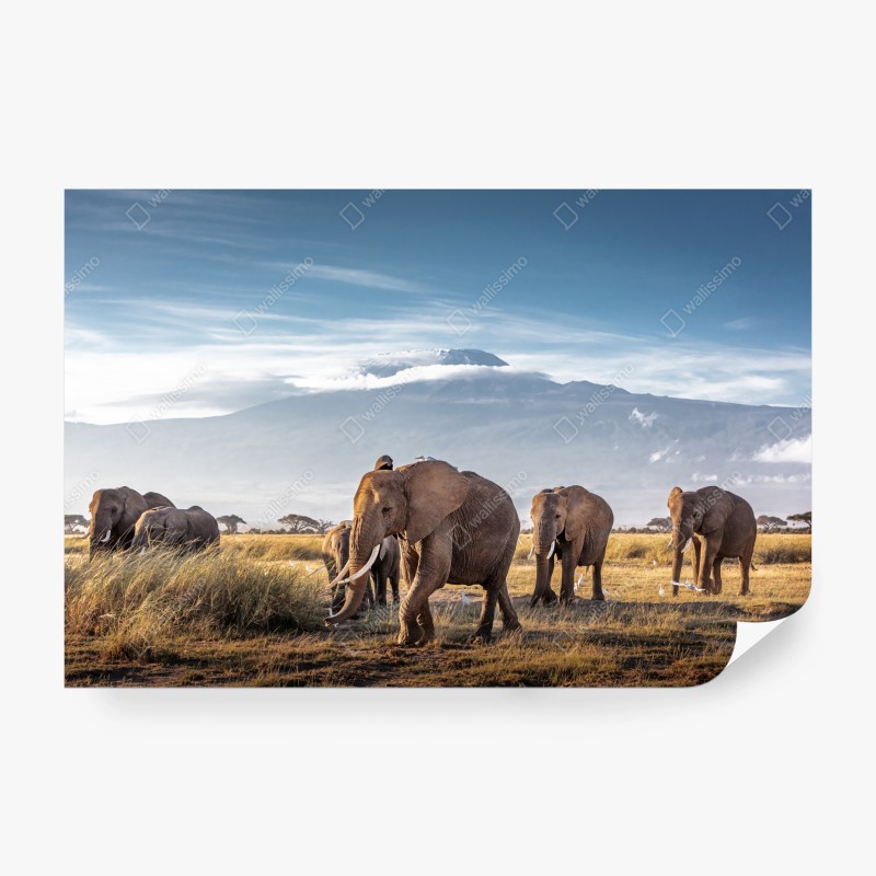 Fototapeta St. Louis panorama o zmierzchu – Wallissimo®