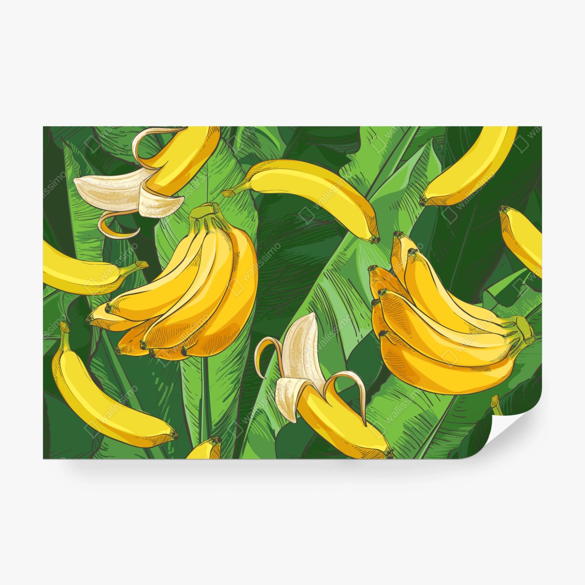 Fototapeta tropikalny wzór bananów z liśćmi – Wallissimo® Fototapeta tropikalny wzór bananów z liśćmi – Wallissimo®