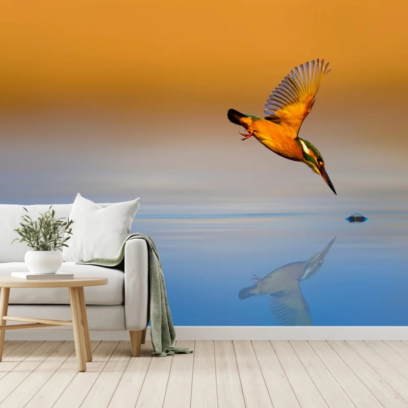 Fototapeta zimorodek nurkujący nad wodą – Wallissimo® Fototapeta zimorodek nurkujący nad wodą – Wallissimo®