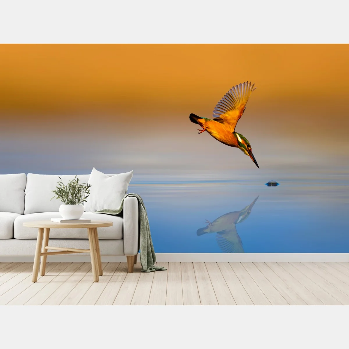 Fototapeta zimorodek nurkujący nad wodą – Wallissimo® Fototapeta zimorodek nurkujący nad wodą – Wallissimo®