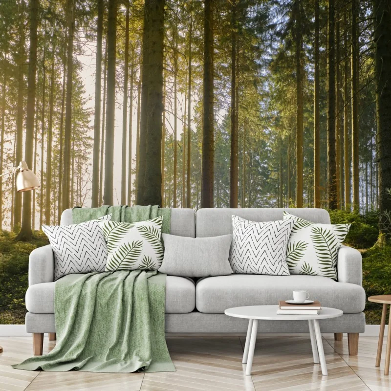 Fototapeta słoneczna leśna ścieżka o świcie – Wallissimo® Fototapeta słoneczna leśna ścieżka o świcie – Wallissimo®