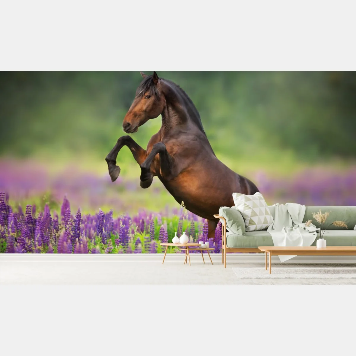 Fototapeta ogier staje dęba w łubinowej łące – Wallissimo® Fototapeta ogier staje dęba w łubinowej łące – Wallissimo®