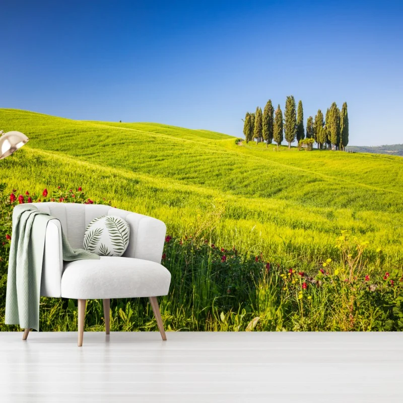 Fototapeta słoneczne zielone wzgórza z cyprysami – Wallissimo® Fototapeta słoneczne zielone wzgórza z cyprysami – Wallissimo®