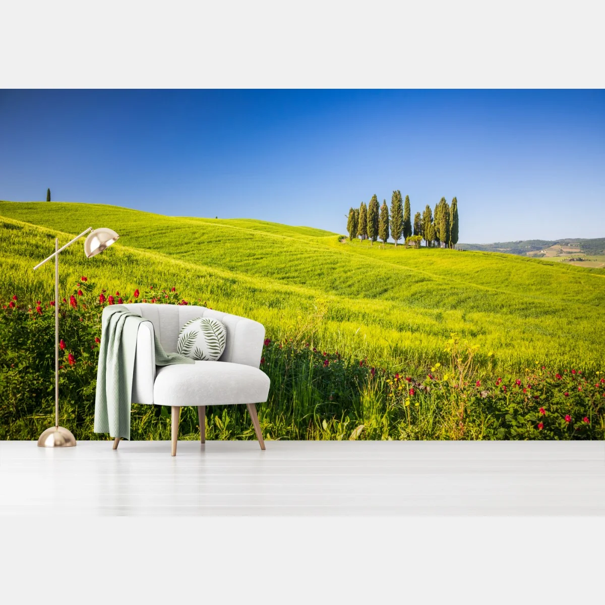 Fototapeta słoneczne zielone wzgórza z cyprysami – Wallissimo® Fototapeta słoneczne zielone wzgórza z cyprysami – Wallissimo®