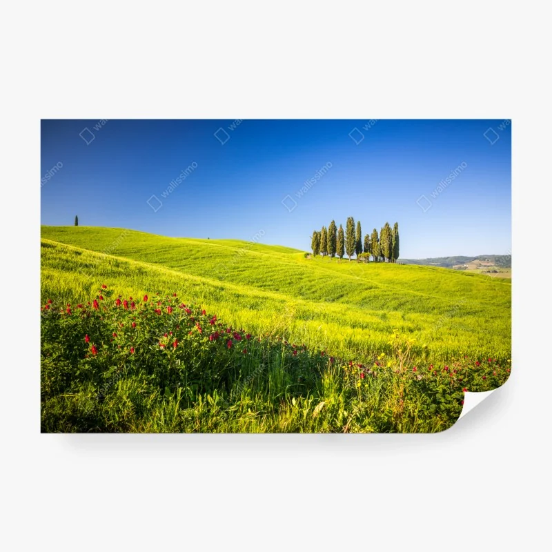 Fototapeta różowy wzór serc w szachownicy – Wallissimo®