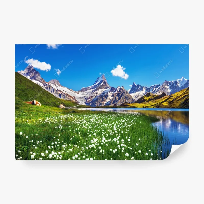 Fototapeta wzór z tropikalnymi liśćmi monstera – Wallissimo®