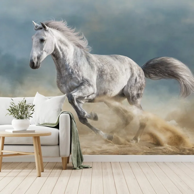 Fototapeta majestatyczny siwy koń galopujący po piasku – Wallissimo® Fototapeta majestatyczny siwy koń galopujący po piasku – Wallissimo®