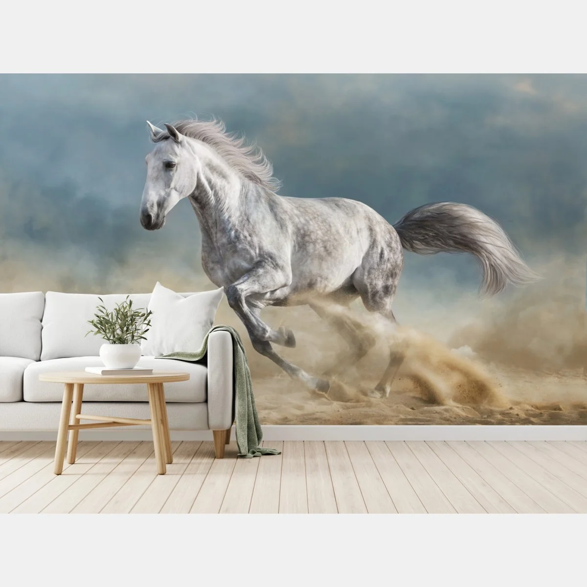 Fototapeta majestatyczny siwy koń galopujący po piasku – Wallissimo® Fototapeta majestatyczny siwy koń galopujący po piasku – Wallissimo®