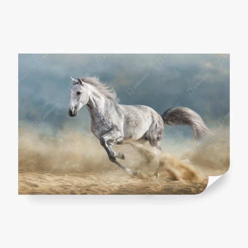 Fototapeta tropikalny botaniczny wzór liści – Wallissimo®