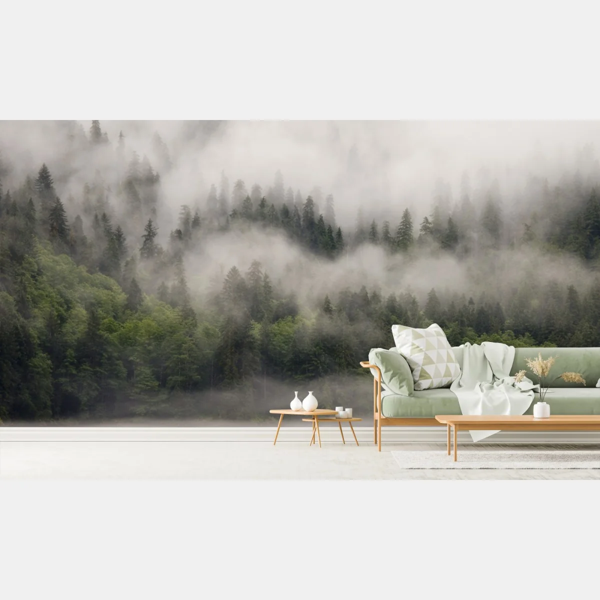 Fototapeta mglisty las nad wybrzeżem, Kolumbia Brytyjska – Wallissimo® Fototapeta mglisty las nad wybrzeżem, Kolumbia Brytyjska – Wallissimo®