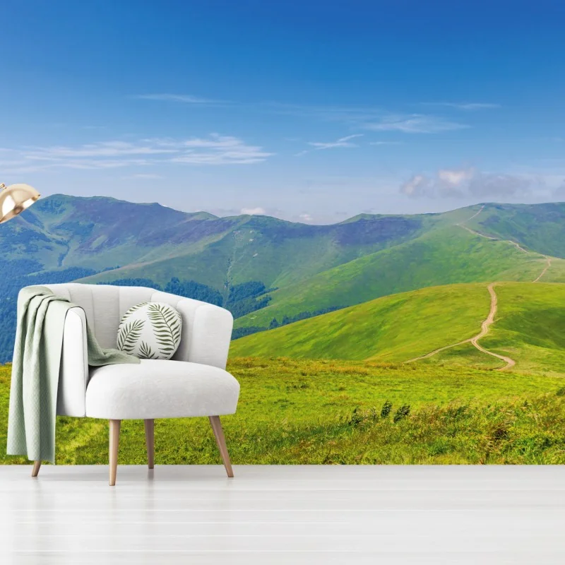 Fototapeta słoneczna łąka Borżawa, Zakarpacie, Ukraina – Wallissimo® Fototapeta słoneczna łąka Borżawa, Zakarpacie, Ukraina – Wallissimo®