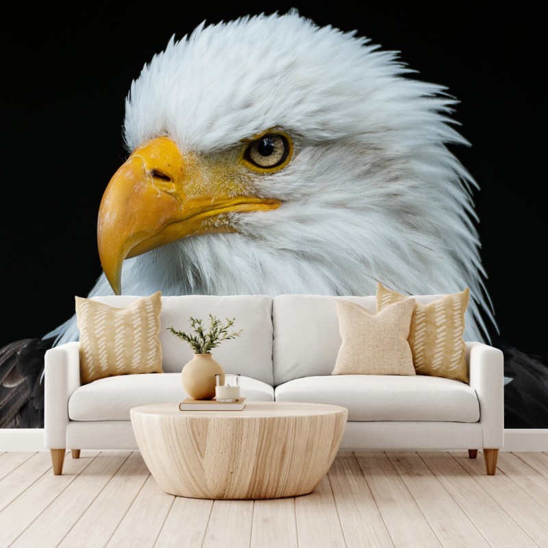 Fototapeta majestatyczny portret bielika – Wallissimo® Fototapeta majestatyczny portret bielika – Wallissimo®