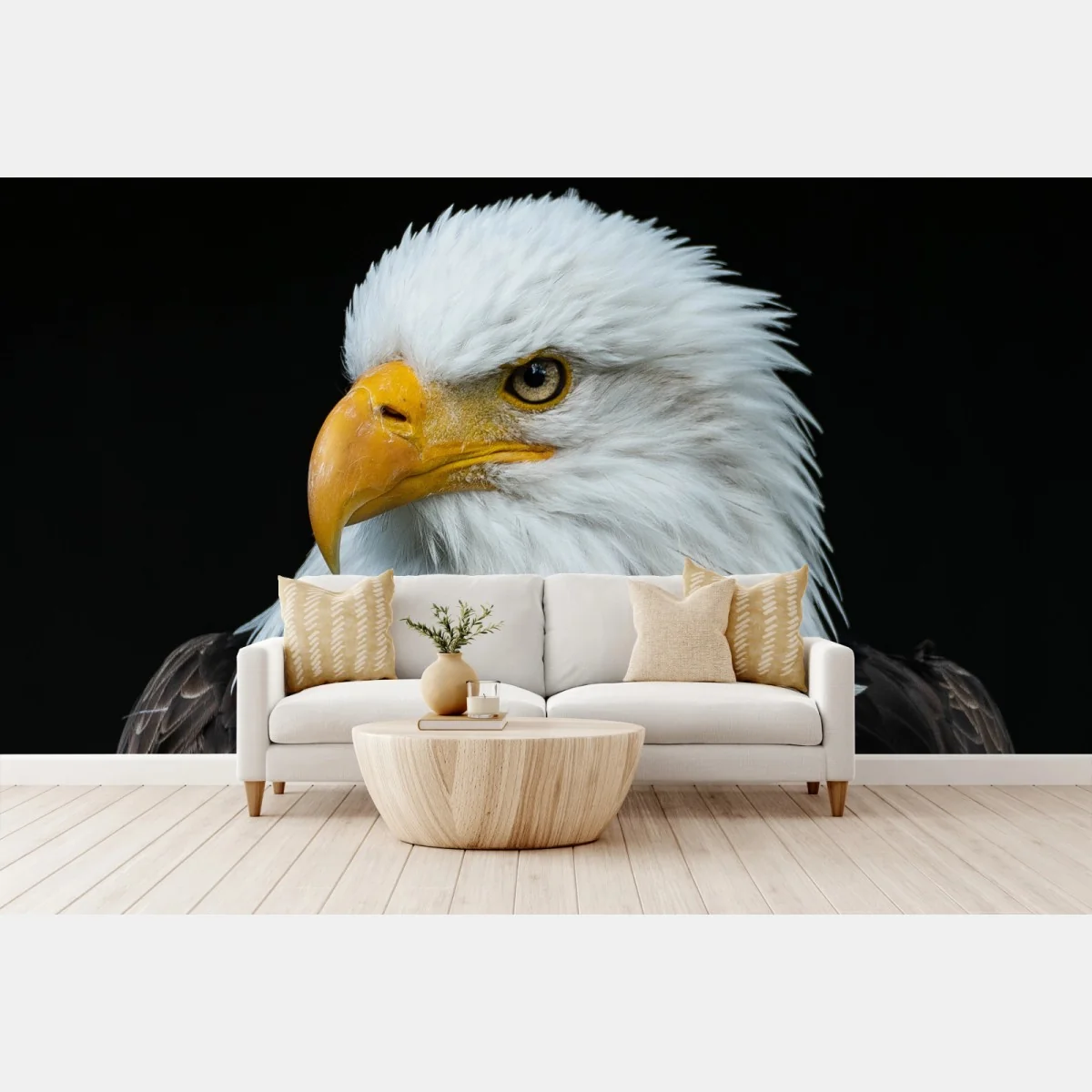 Fototapeta majestatyczny portret bielika – Wallissimo® Fototapeta majestatyczny portret bielika – Wallissimo®