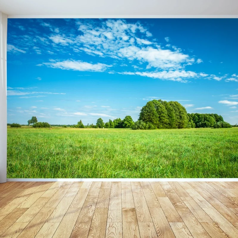 Fototapeta słoneczna zielona łąka pod niebieskim niebem – Wallissimo® Fototapeta słoneczna zielona łąka pod niebieskim niebem – Wallissimo®