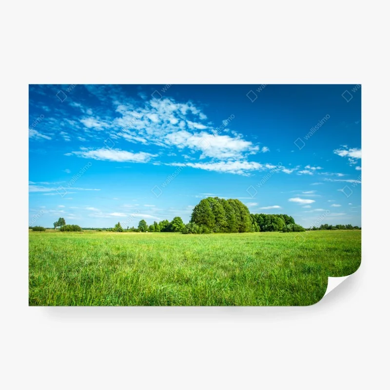 Fototapeta tropikalny wzór liści w stonowanej zieleni i różu – Wallissimo®