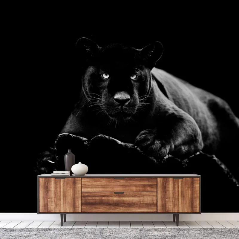 Fototapeta majestatyczny portret czarnej pantery – Wallissimo® Fototapeta majestatyczny portret czarnej pantery – Wallissimo®