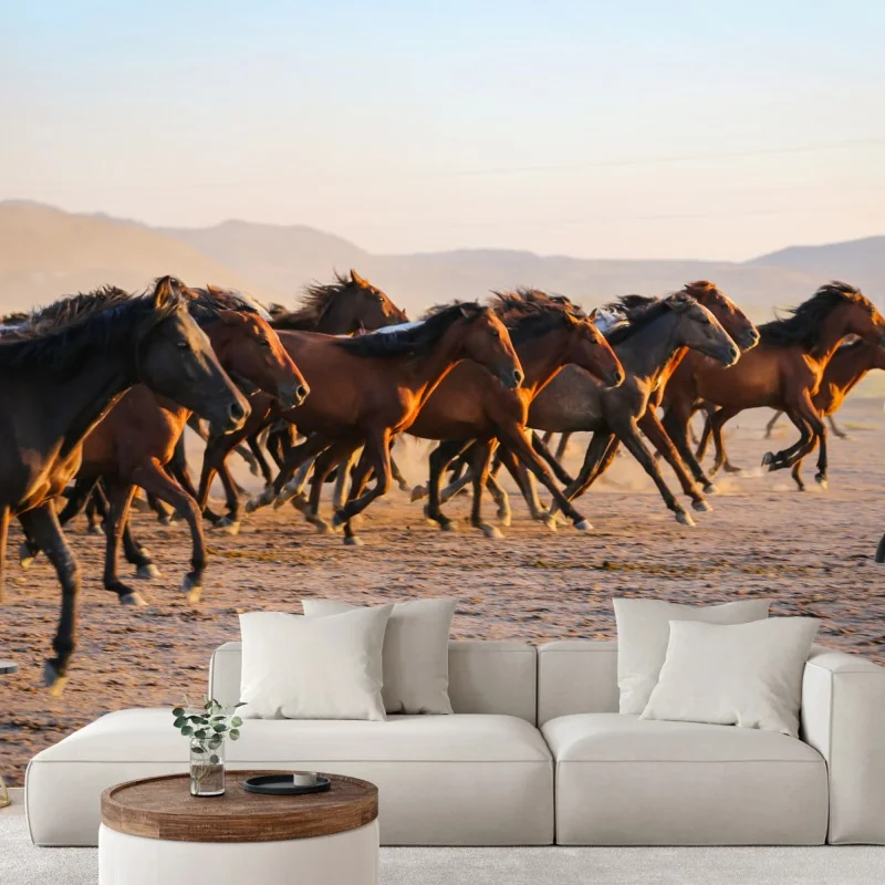Fototapeta stado koni yilki galopujących po polu w Kayseri – Wallissimo® Fototapeta stado koni yilki galopujących po polu w Kayseri – Wallissimo®