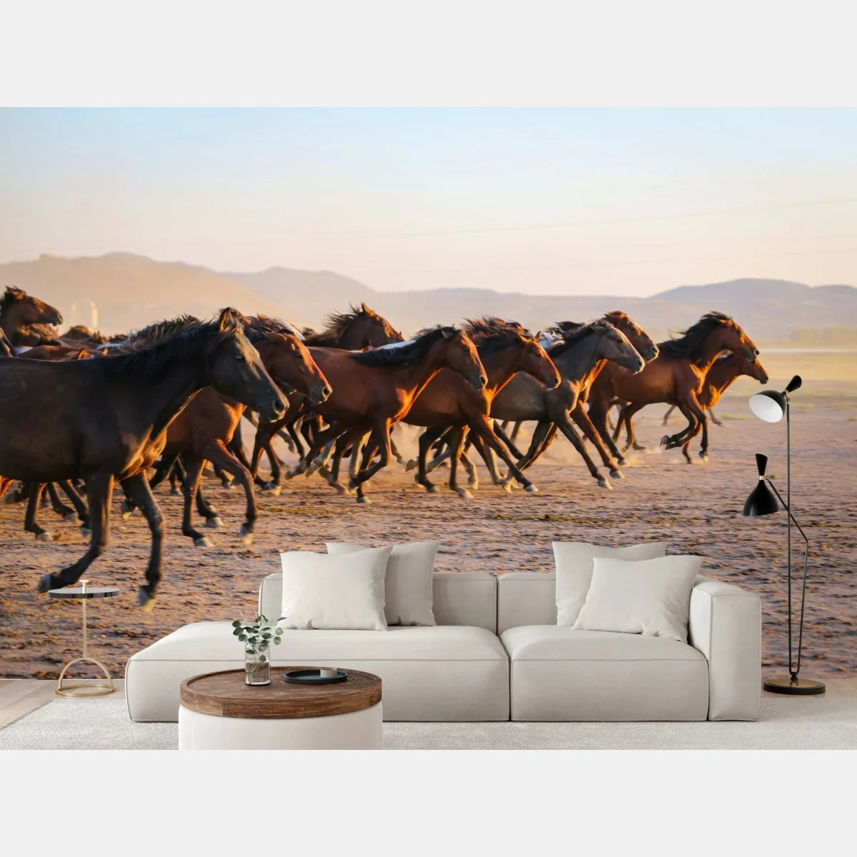 Fototapeta stado koni yilki galopujących po polu w Kayseri – Wallissimo® Fototapeta stado koni yilki galopujących po polu w Kayseri – Wallissimo®