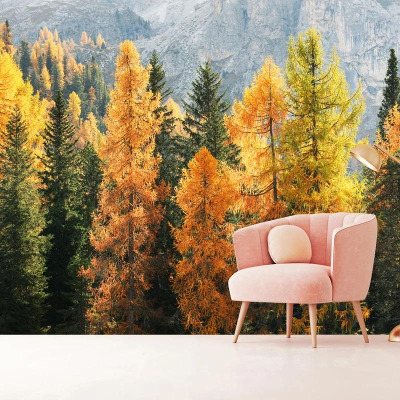 Fototapeta złoty jesienny las modrzewiowy – Wallissimo® Fototapeta złoty jesienny las modrzewiowy – Wallissimo®