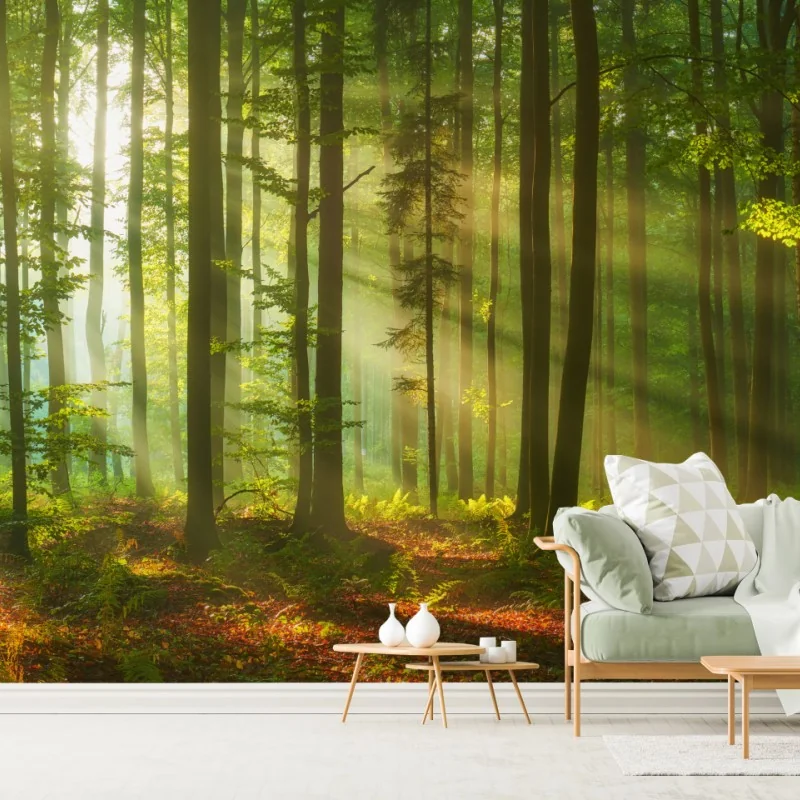 Fototapeta poranne światło w zielonym lesie – Wallissimo® Fototapeta poranne światło w zielonym lesie – Wallissimo®