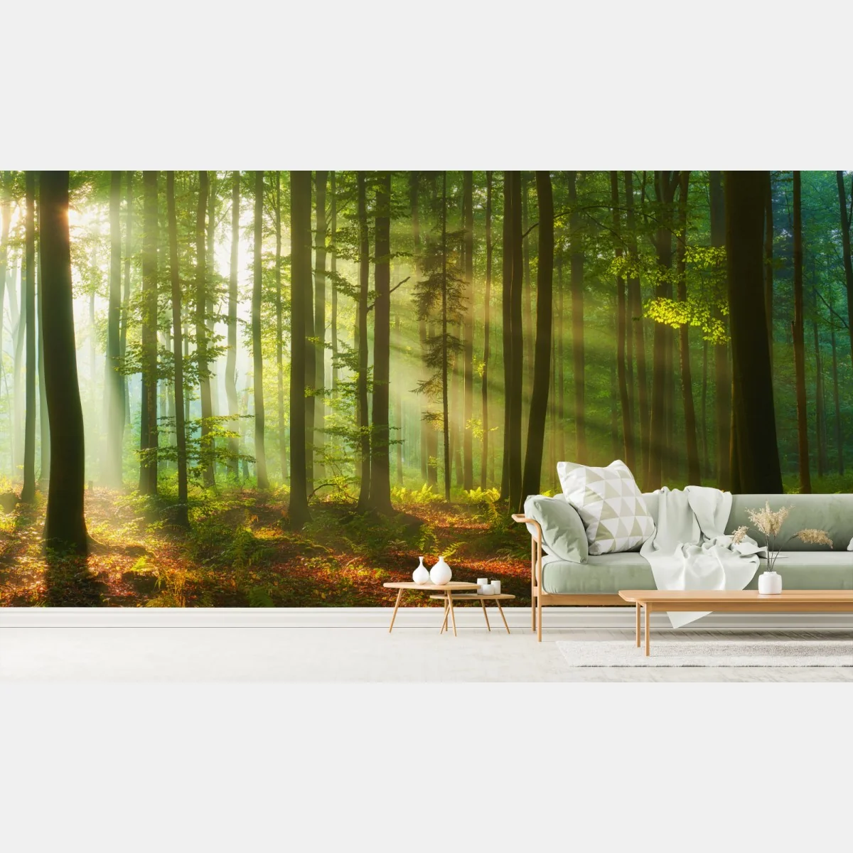 Fototapeta poranne światło w zielonym lesie – Wallissimo® Fototapeta poranne światło w zielonym lesie – Wallissimo®