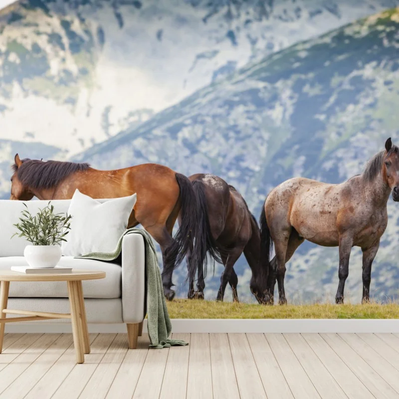 Fototapeta konie na górskiej łące – Wallissimo® Fototapeta konie na górskiej łące – Wallissimo®