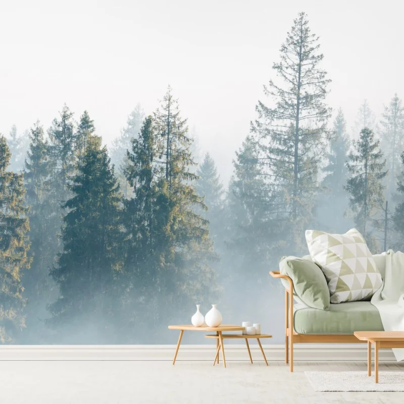 Fototapeta mglisty las świerków o poranku – Wallissimo® Fototapeta mglisty las świerków o poranku – Wallissimo®