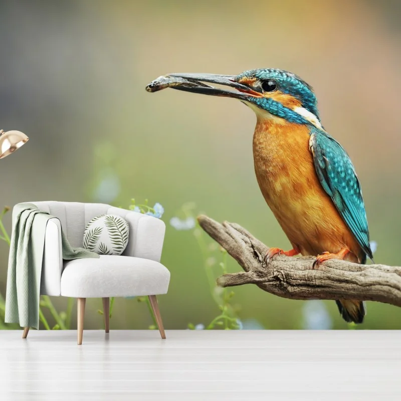 Fototapeta zimorodek na gałęzi z rybą – Wallissimo® Fototapeta zimorodek na gałęzi z rybą – Wallissimo®