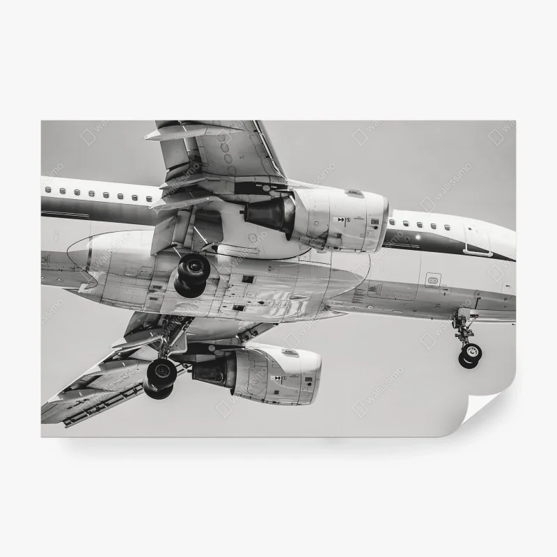 Fototapeta złote światło lesie sosnowym porośniętym mchem – Wallissimo®