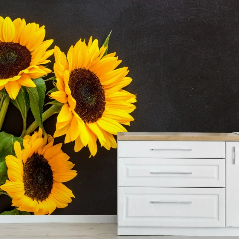 Fototapeta bukiet słoneczników na czarnym tle – Wallissimo® Fototapeta bukiet słoneczników na czarnym tle – Wallissimo®