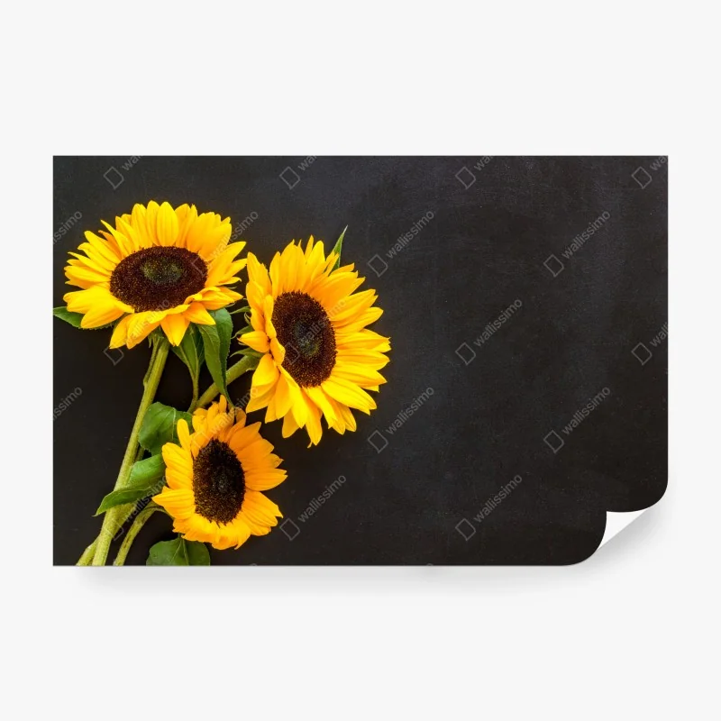 Fototapeta Tajlandia sawanna o wschodzie słońca – Wallissimo®