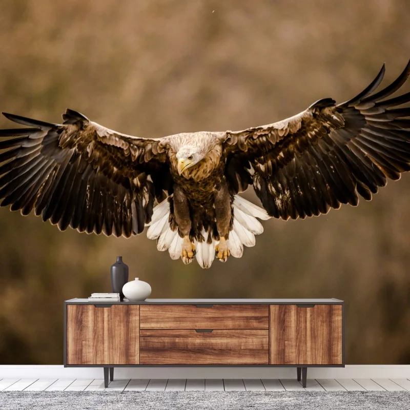 Fototapeta majestatyczny orzeł w locie – Wallissimo® Fototapeta majestatyczny orzeł w locie – Wallissimo®