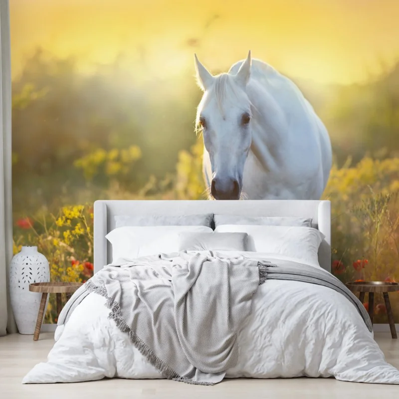 Fototapeta biały koń na łące maków o wschodzie słońca – Wallissimo® Fototapeta biały koń na łące maków o wschodzie słońca – Wallissimo®