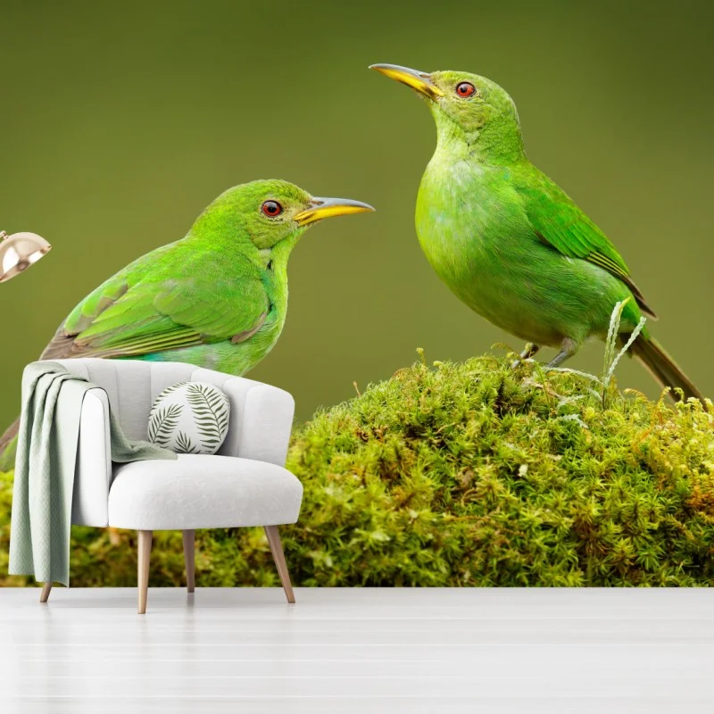 Fototapeta intensywne zielone miodojady na mchu – Wallissimo® Fototapeta intensywne zielone miodojady na mchu – Wallissimo®