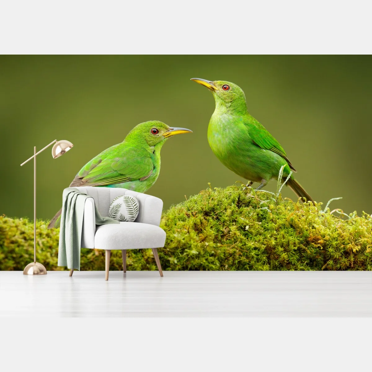 Fototapeta intensywne zielone miodojady na mchu – Wallissimo® Fototapeta intensywne zielone miodojady na mchu – Wallissimo®