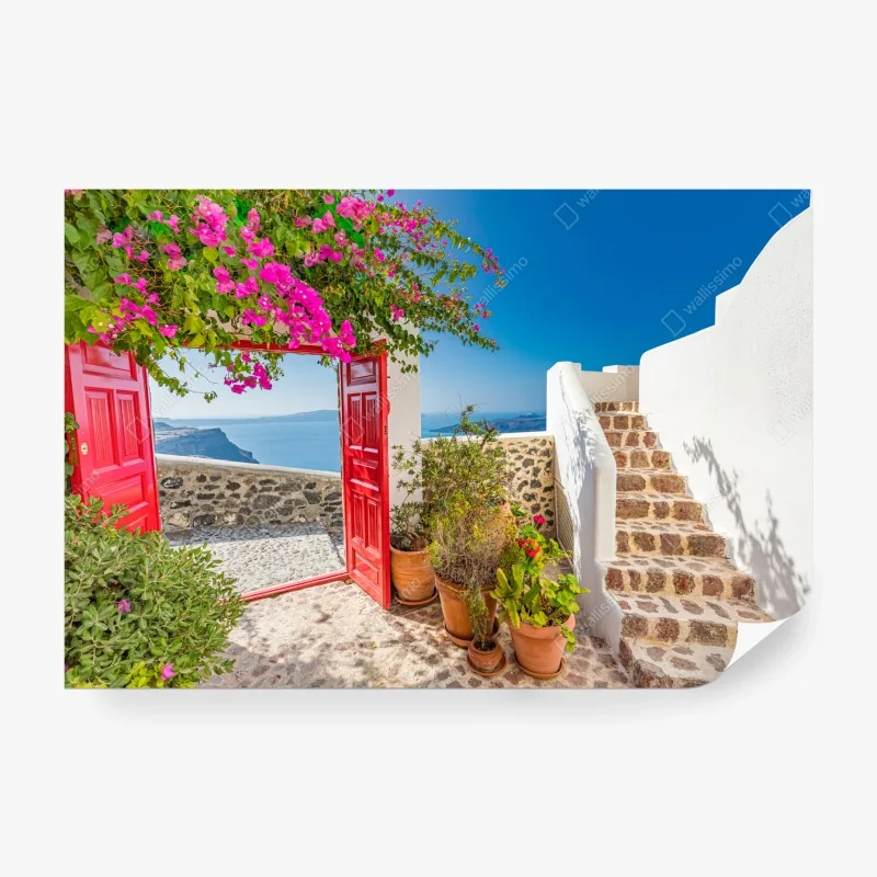 Fototapeta mglisty las czarno-biały – Wallissimo®