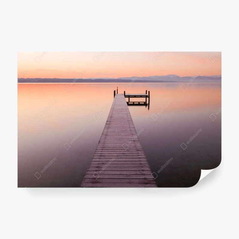 Fototapeta wzór z piórami w granacie i różu – Wallissimo®