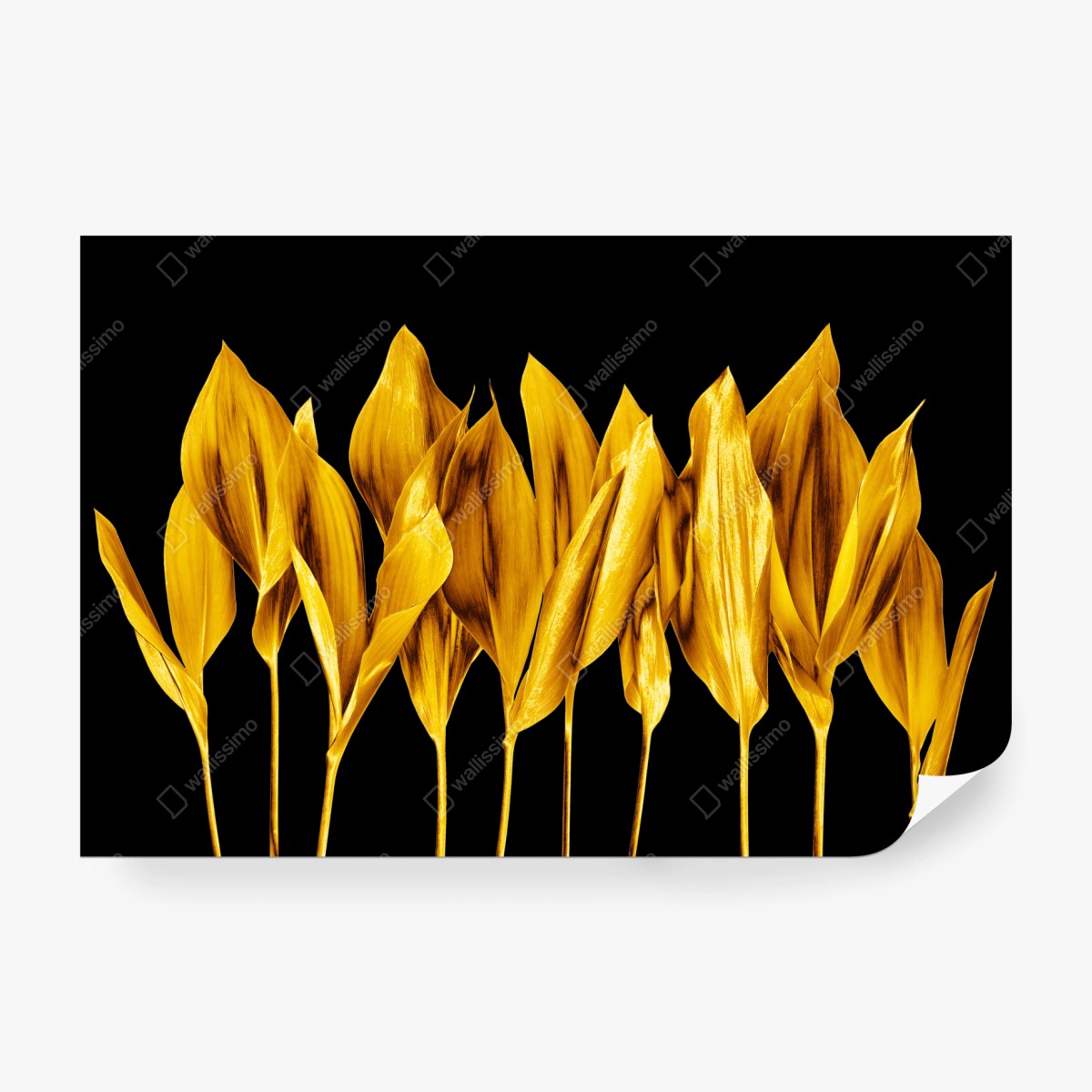 Fototapeta złote liście na czarnym tle – Wallissimo® Fototapeta złote liście na czarnym tle – Wallissimo®