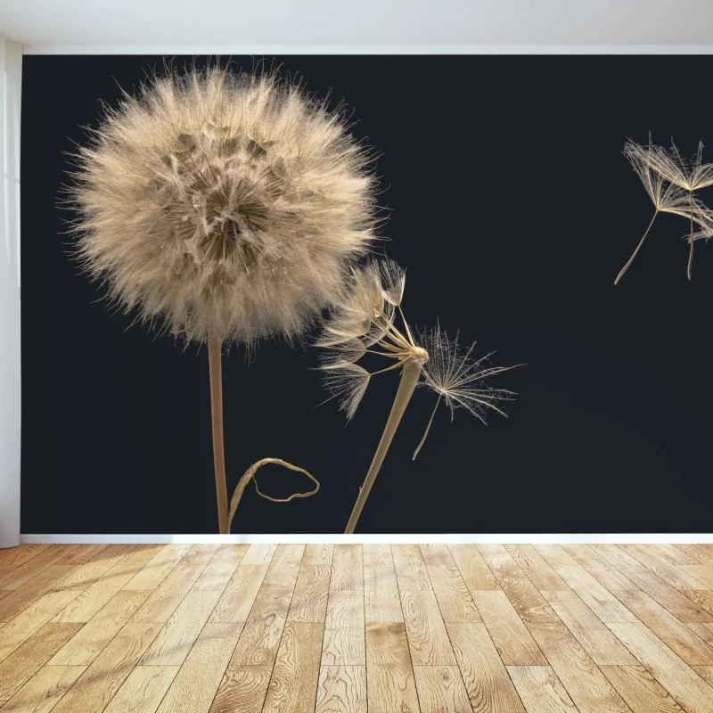 Fototapeta delikatny dmuchawiec na ciemnym tle – Wallissimo®