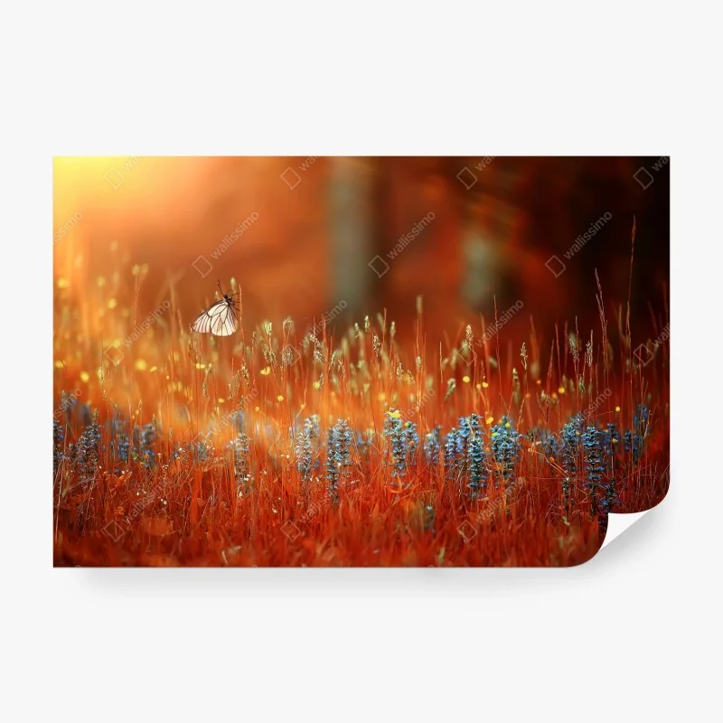 Fototapeta spokojne odbicia na jeziorze Pragser Wildsee – Wallissimo®