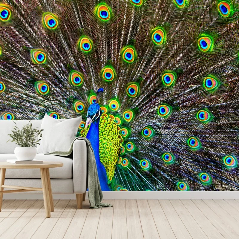 Fototapeta żywy wachlarz pawich piór – Wallissimo® Fototapeta żywy wachlarz pawich piór – Wallissimo®