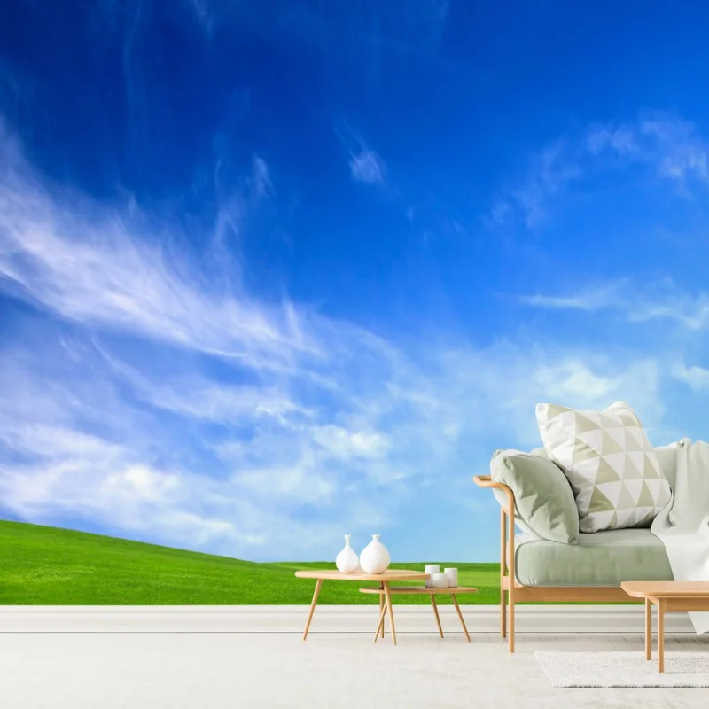 Fototapeta słoneczna zielona łąka pod niebieskim niebem – Wallissimo® Fototapeta słoneczna zielona łąka pod niebieskim niebem – Wallissimo®