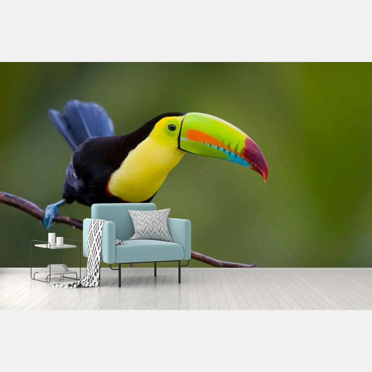 Fototapeta żywy portret tukana – Wallissimo® Fototapeta żywy portret tukana – Wallissimo®