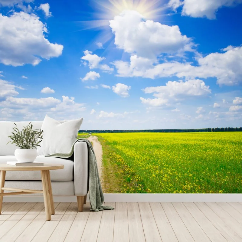 Fototapeta żółte pole rzepaku pod błękitnym niebem – Wallissimo® Fototapeta żółte pole rzepaku pod błękitnym niebem – Wallissimo®