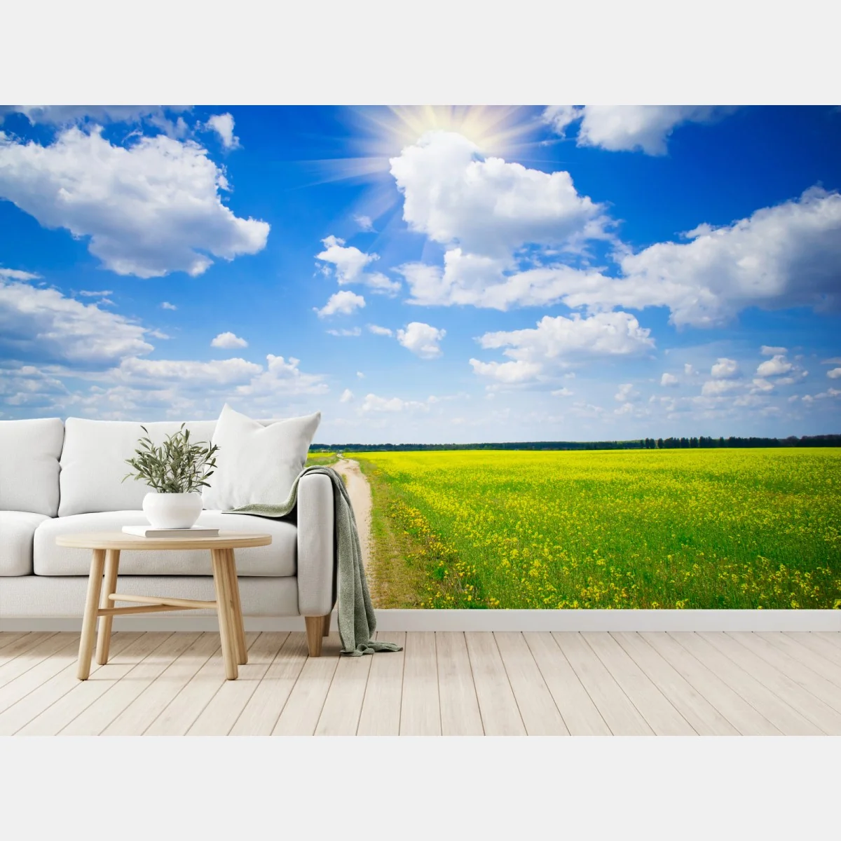 Fototapeta żółte pole rzepaku pod błękitnym niebem – Wallissimo® Fototapeta żółte pole rzepaku pod błękitnym niebem – Wallissimo®